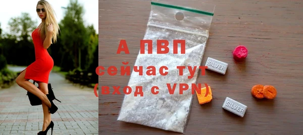 стаф Богородск